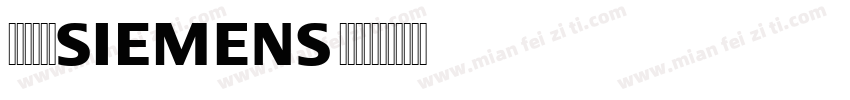 Siemens Serif字体转换
